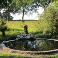Polyester pond making | DIY