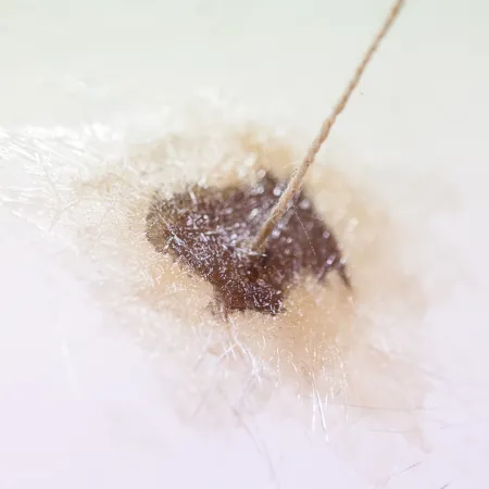 Polyester reparatie (2)