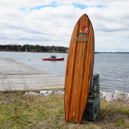Surfplank behandeld met Blanke Bootlak (eindresultaat 3)