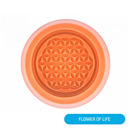 Flower of life