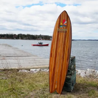 Surfplank behandeld met Blanke Bootlak (eindresultaat 3)