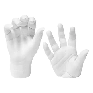 Gips gegoten in alginaat