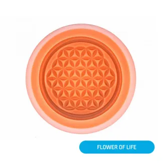 Flower of life